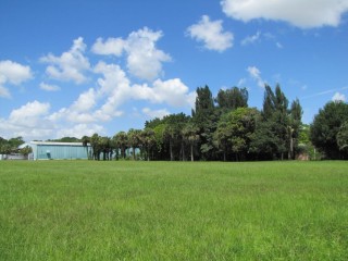 Front Image