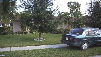 Front Image